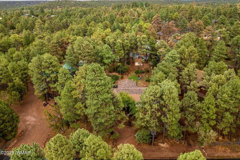 Tiny photo for 1009 Chaparral Drive, Show Low, AZ 85901 (MLS # 253675)