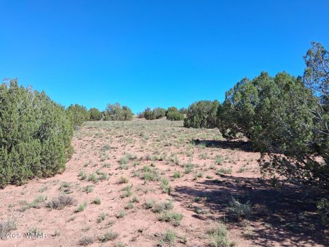 Tiny photo for 268 N 5380, Concho, AZ 85924 (MLS # 258588)