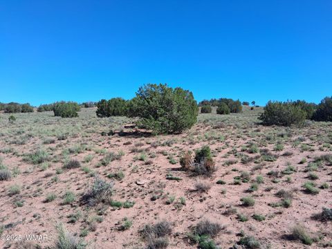 Tiny photo for 268 N 5380, Concho, AZ 85924 (MLS # 258588)
