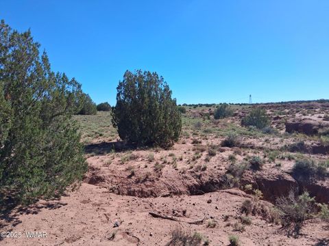 Tiny photo for 268 N 5380, Concho, AZ 85924 (MLS # 258588)