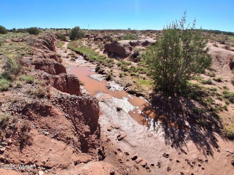 Tiny photo for 268 N 5380, Concho, AZ 85924 (MLS # 258588)