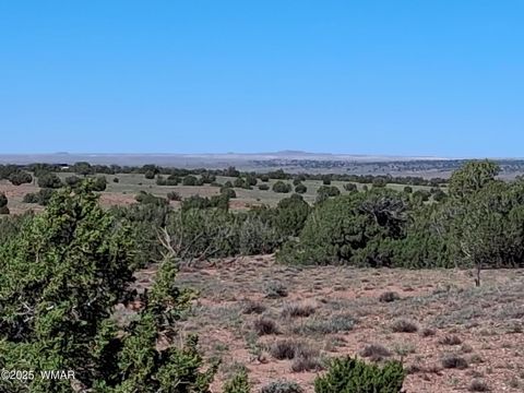 Tiny photo for 268 N 5380, Concho, AZ 85924 (MLS # 258588)