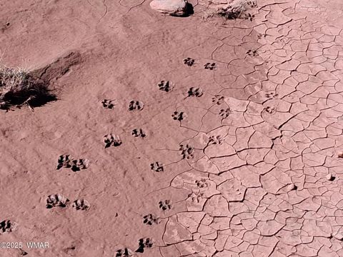 Tiny photo for 268 N 5380, Concho, AZ 85924 (MLS # 258588)