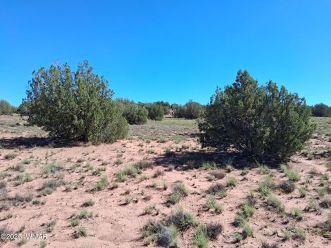 Tiny photo for 268 N 5380, Concho, AZ 85924 (MLS # 258588)