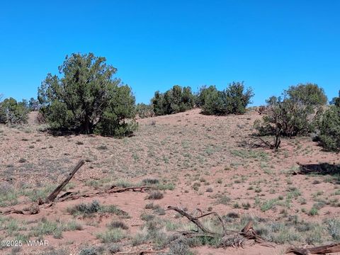Photo of 268 N 5380, Concho, AZ 85924 (MLS # 258588)