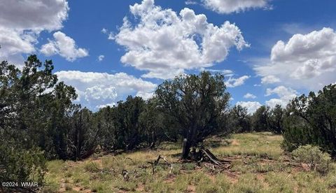 Tiny photo for 4062/4066 Apache Road, Snowflake, AZ 85937 (MLS # 253866)