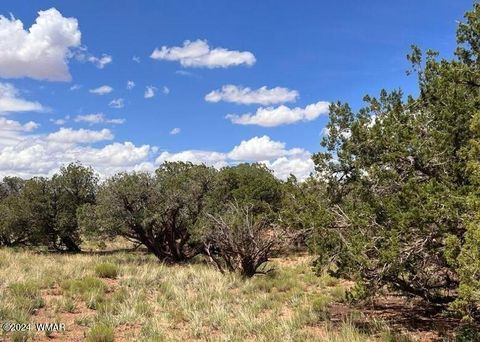 Photo of 4062/4066 Apache Road, Snowflake, AZ 85937 (MLS # 253866)