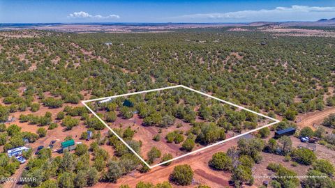 Tiny photo for 87 N 3132, Vernon, AZ 85940 (MLS # 257270)