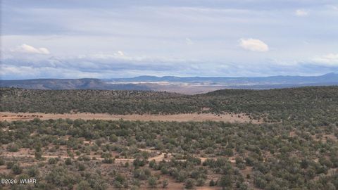 Tiny photo for 54473 N Shadow Mountain Parkway, Seligman, AZ 86337 (MLS # 259112)