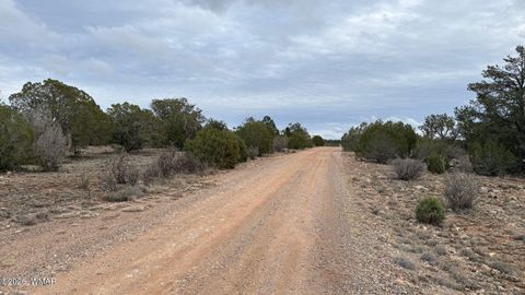 Tiny photo for 54473 N Shadow Mountain Parkway, Seligman, AZ 86337 (MLS # 259112)