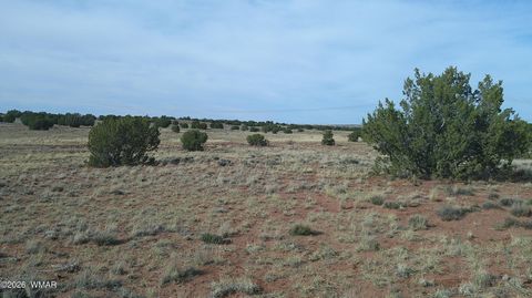 Tiny photo for 94 N9027, Concho, AZ 85924 (MLS # 260261)