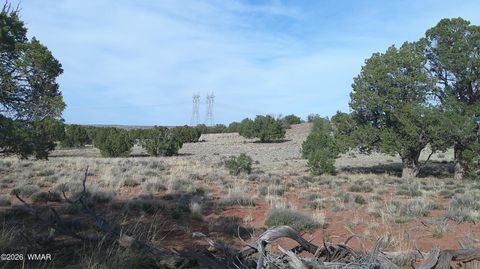 Tiny photo for 94 N9027, Concho, AZ 85924 (MLS # 260261)