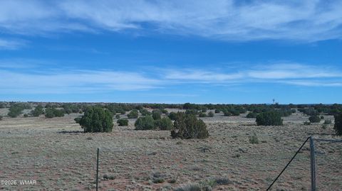 Tiny photo for 94 N9027, Concho, AZ 85924 (MLS # 260261)