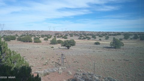 Tiny photo for 94 N9027, Concho, AZ 85924 (MLS # 260261)