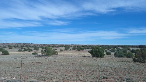 Tiny photo for 94 N9027, Concho, AZ 85924 (MLS # 260261)