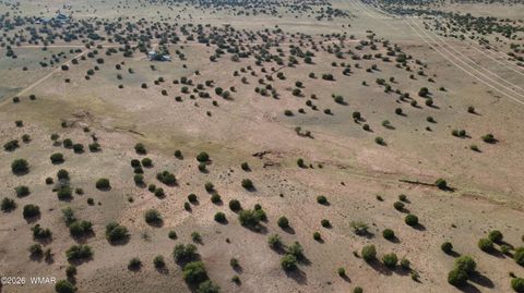 Tiny photo for 94 N9027, Concho, AZ 85924 (MLS # 260261)