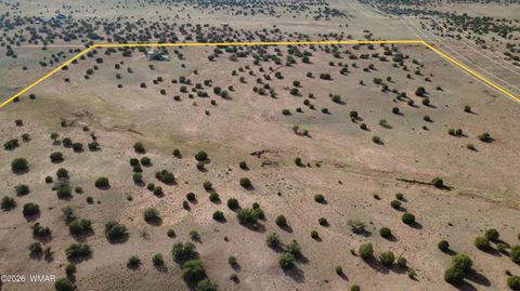 Tiny photo for 94 N9027, Concho, AZ 85924 (MLS # 260261)