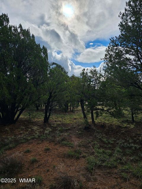 Tiny photo for 1454 Low Mountain Trail, Heber, AZ 85928 (MLS # 258150)