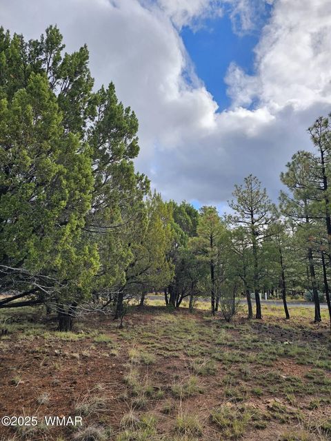 Photo of 1454 Low Mountain Trail, Heber, AZ 85928 (MLS # 258150)