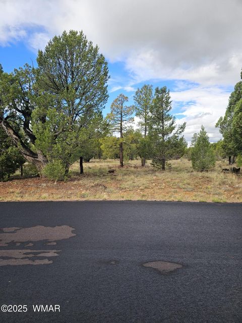 Tiny photo for 1454 Low Mountain Trail, Heber, AZ 85928 (MLS # 258150)