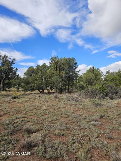 Tiny photo for 1454 Low Mountain Trail, Heber, AZ 85928 (MLS # 258150)