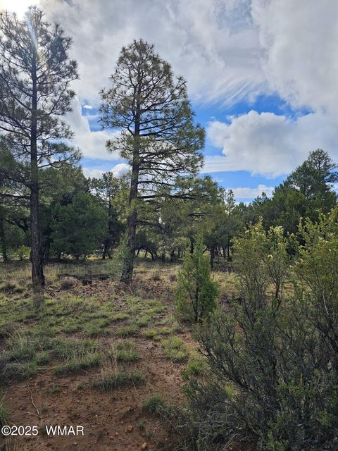 Tiny photo for 1454 Low Mountain Trail, Heber, AZ 85928 (MLS # 258150)