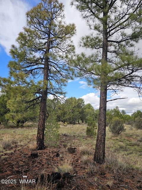 Tiny photo for 1454 Low Mountain Trail, Heber, AZ 85928 (MLS # 258150)