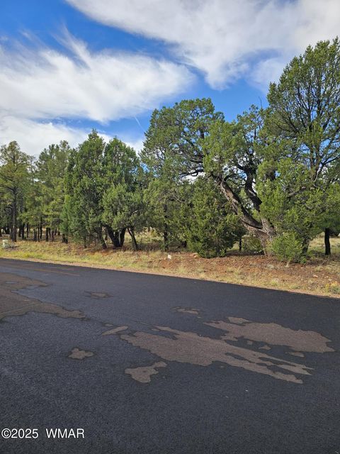 Tiny photo for 1454 Low Mountain Trail, Heber, AZ 85928 (MLS # 258150)