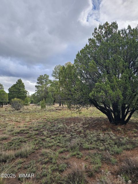 Tiny photo for 1454 Low Mountain Trail, Heber, AZ 85928 (MLS # 258150)
