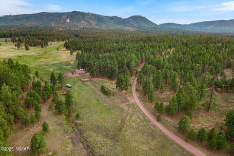 Tiny photo for 36 CR N2147, Alpine, AZ 85920 (MLS # 259923)