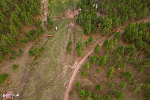 Tiny photo for 36 CR N2147, Alpine, AZ 85920 (MLS # 259923)