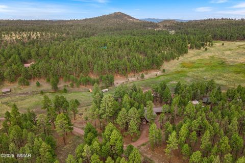 Tiny photo for 36 CR N2147, Alpine, AZ 85920 (MLS # 259923)