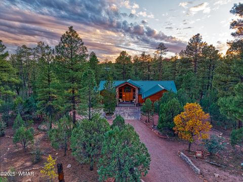 Tiny photo for 301 W Creekwood Lane, Show Low, AZ 85901 (MLS # 258434)