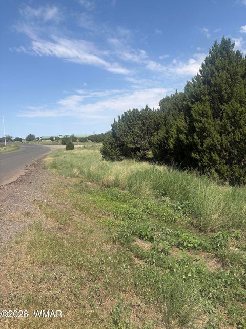 Tiny photo for 31 Commercial Drive, Concho, AZ 85924 (MLS # 262652)