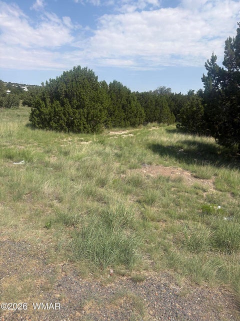 Tiny photo for 31 Commercial Drive, Concho, AZ 85924 (MLS # 262652)