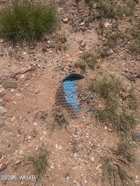 Tiny photo for 31 Commercial Drive, Concho, AZ 85924 (MLS # 262652)