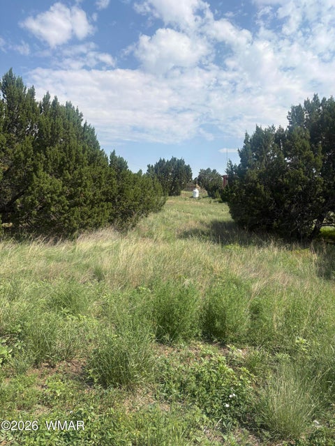Photo of 31 Commercial Drive, Concho, AZ 85924 (MLS # 262652)