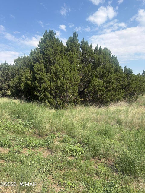 Tiny photo for 31 Commercial Drive, Concho, AZ 85924 (MLS # 262652)