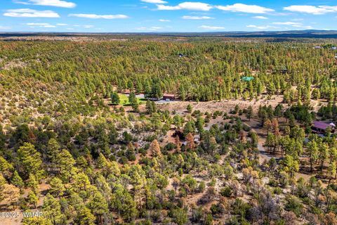 Tiny photo for 2343 Dovetail, Overgaard, AZ 85933 (MLS # 257907)
