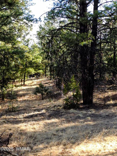 Tiny photo for LOT 8 Red Cabin Ranch #8, Vernon, AZ 85940 (MLS # 254496)
