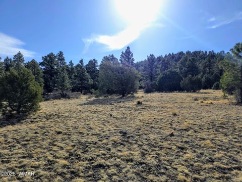 Tiny photo for LOT 8 Red Cabin Ranch #8, Vernon, AZ 85940 (MLS # 254496)