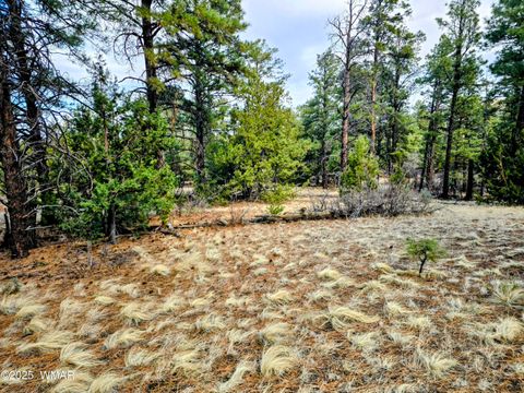 Tiny photo for LOT 8 Red Cabin Ranch #8, Vernon, AZ 85940 (MLS # 254496)
