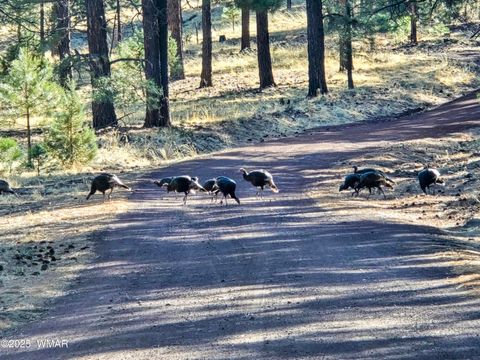 Tiny photo for LOT 8 Red Cabin Ranch #8, Vernon, AZ 85940 (MLS # 254496)