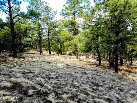 Tiny photo for LOT 8 Red Cabin Ranch #8, Vernon, AZ 85940 (MLS # 254496)