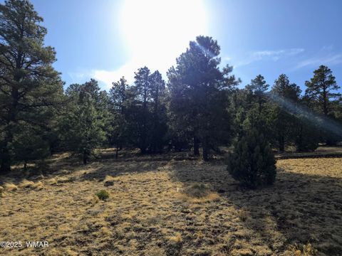 Tiny photo for LOT 8 Red Cabin Ranch #8, Vernon, AZ 85940 (MLS # 254496)
