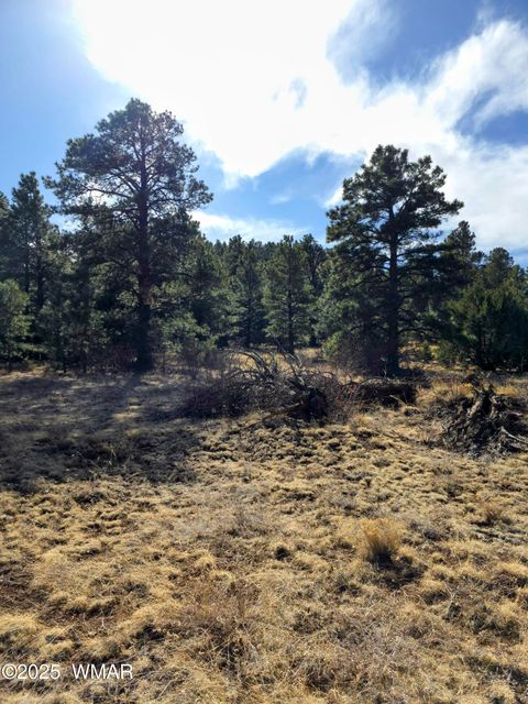 Tiny photo for LOT 8 Red Cabin Ranch #8, Vernon, AZ 85940 (MLS # 254496)