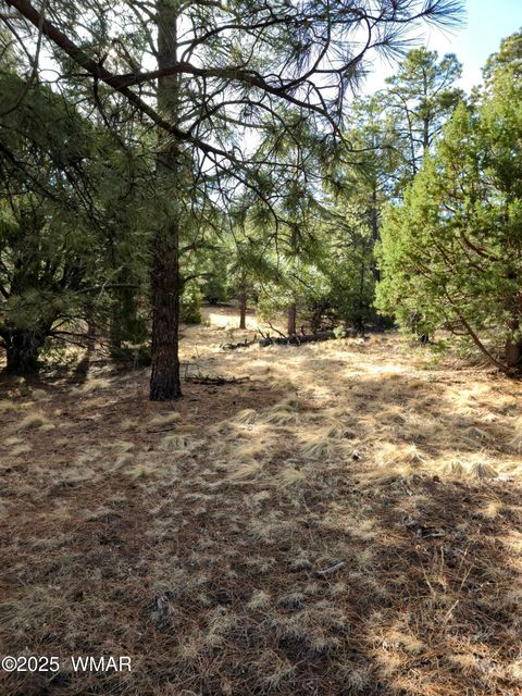 Tiny photo for LOT 8 Red Cabin Ranch #8, Vernon, AZ 85940 (MLS # 254496)