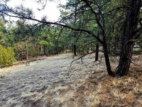 Tiny photo for LOT 8 Red Cabin Ranch #8, Vernon, AZ 85940 (MLS # 254496)