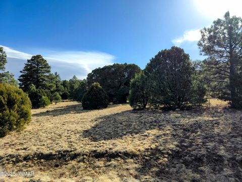 Tiny photo for LOT 8 Red Cabin Ranch #8, Vernon, AZ 85940 (MLS # 254496)