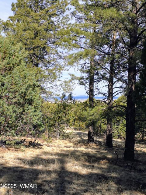 Tiny photo for LOT 8 Red Cabin Ranch #8, Vernon, AZ 85940 (MLS # 254496)